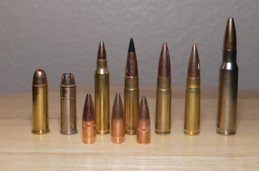 firearm ammunition