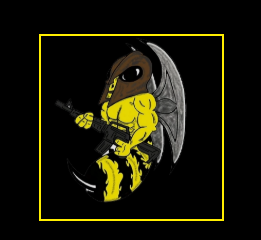 Big Bee Bee LLC review